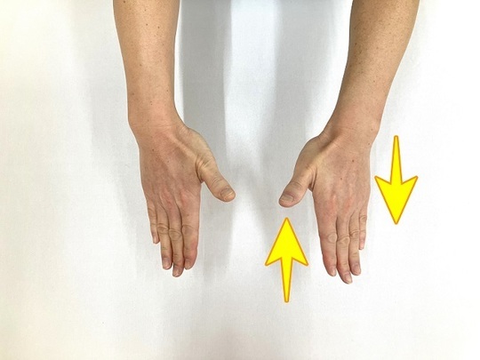 ジャンケンチョキ2